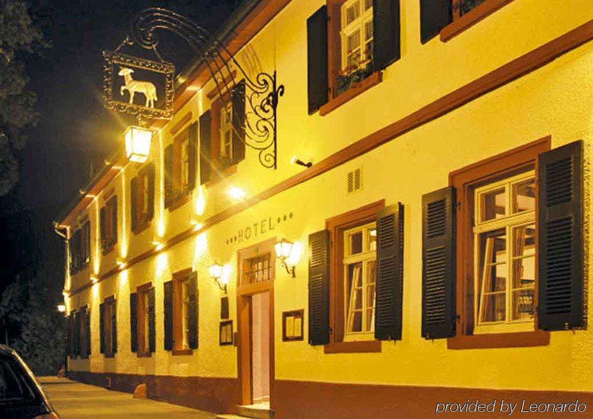 Das Lamm Heidelberg Bagian luar foto